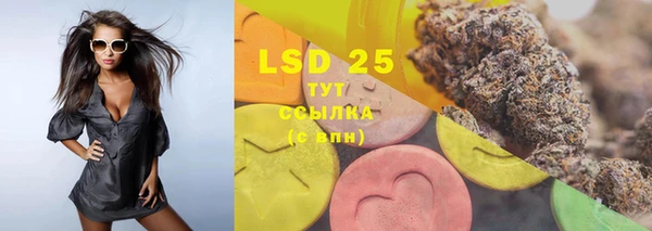 PSILOCYBIN Вязьма